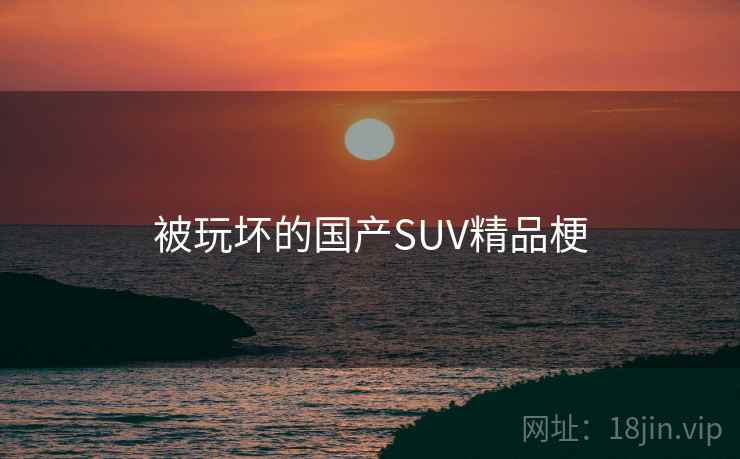 被玩坏的国产SUV精品梗