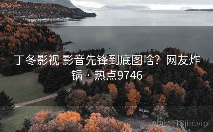 丁冬影视 影音先锋到底图啥?网友炸锅 · 热点9746